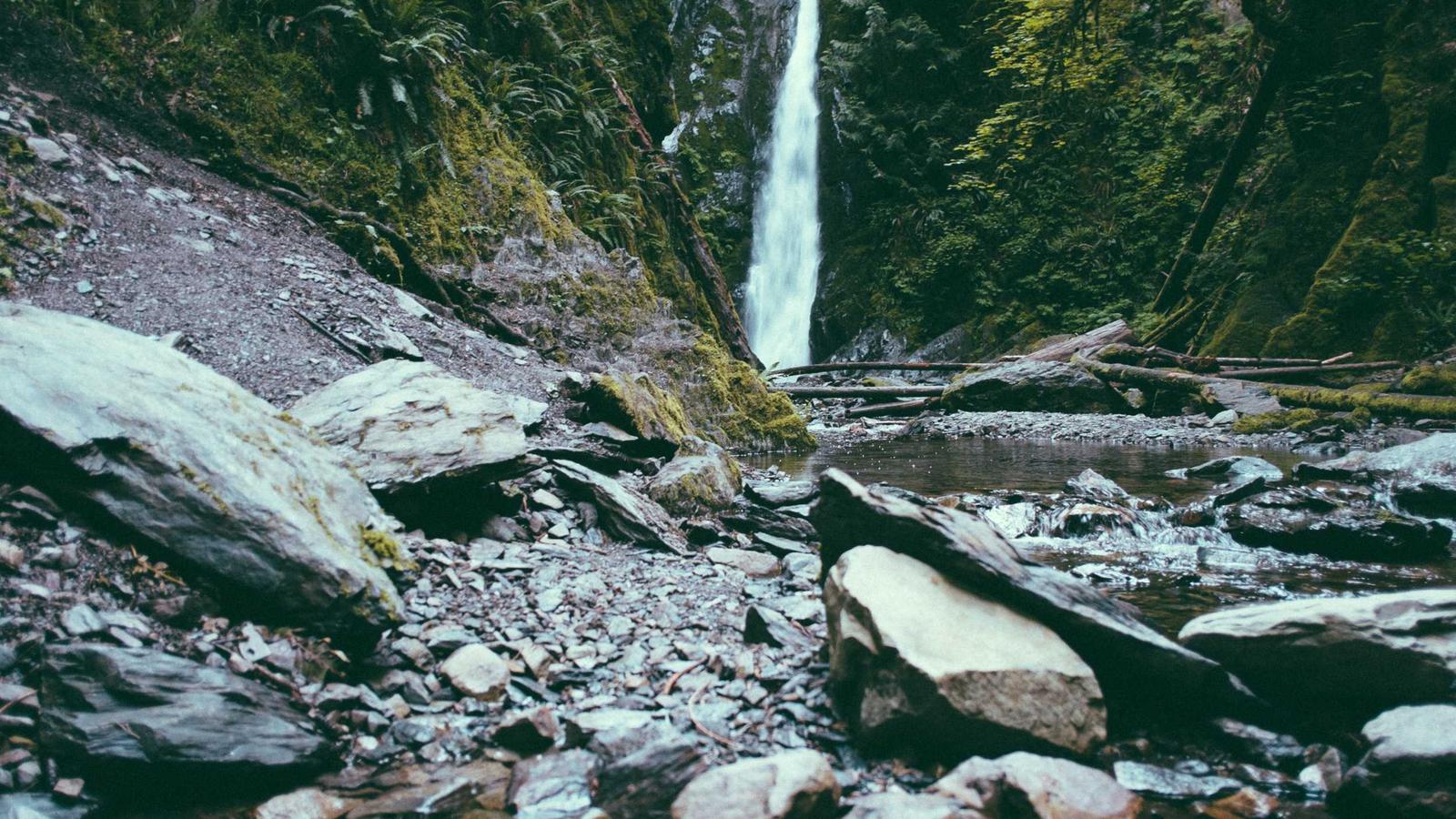 A waterfall cascading into a mossy forest gorge (stock photo)