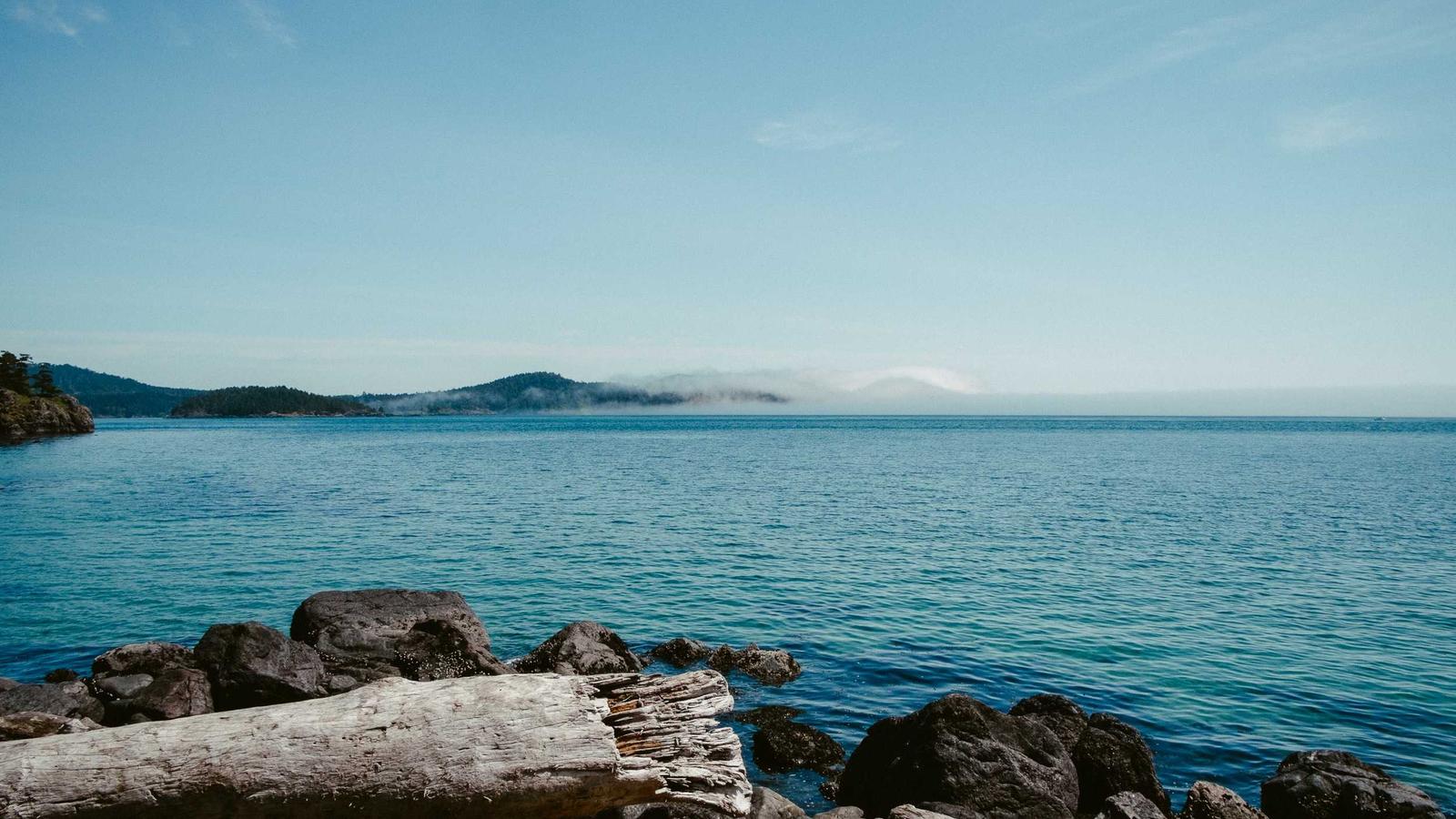 A driftwood log on a rocky shore beside a calm blue bay (stock photo)