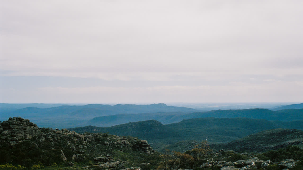 Nature photograph