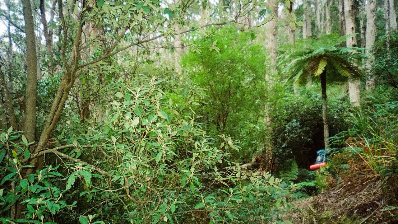 Nature photograph