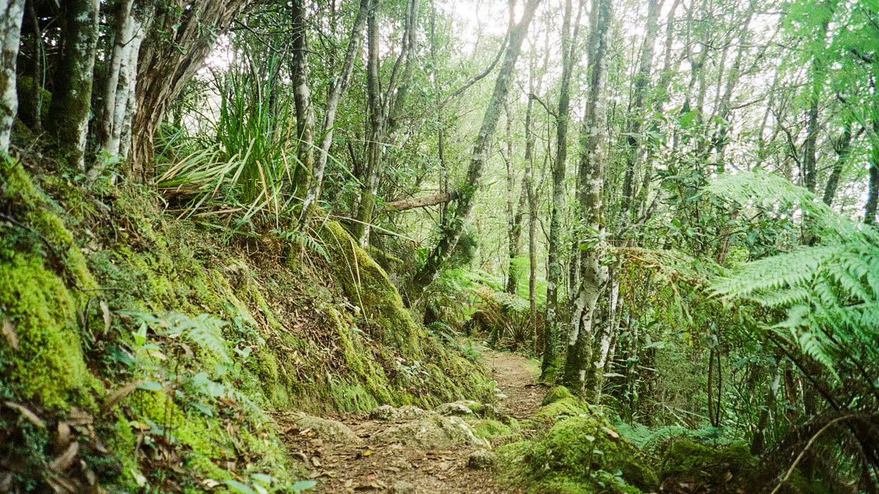 Nature photograph