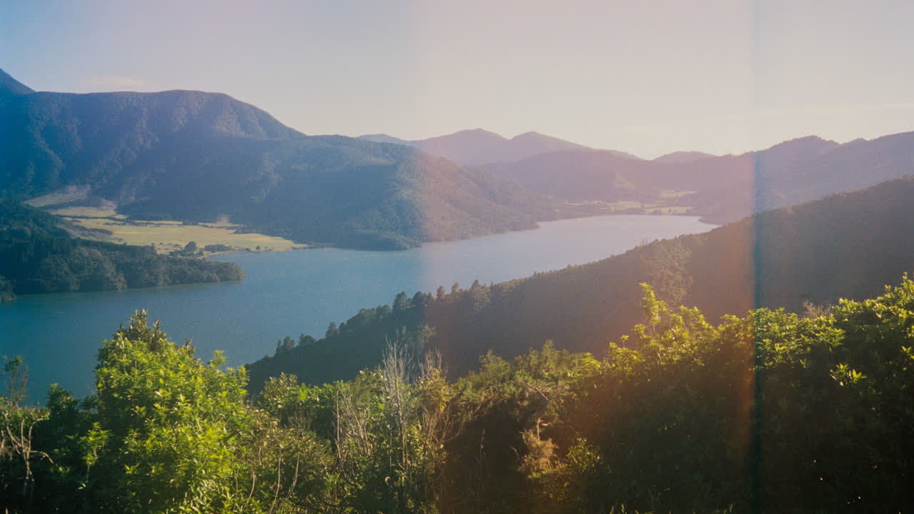 Nature photograph