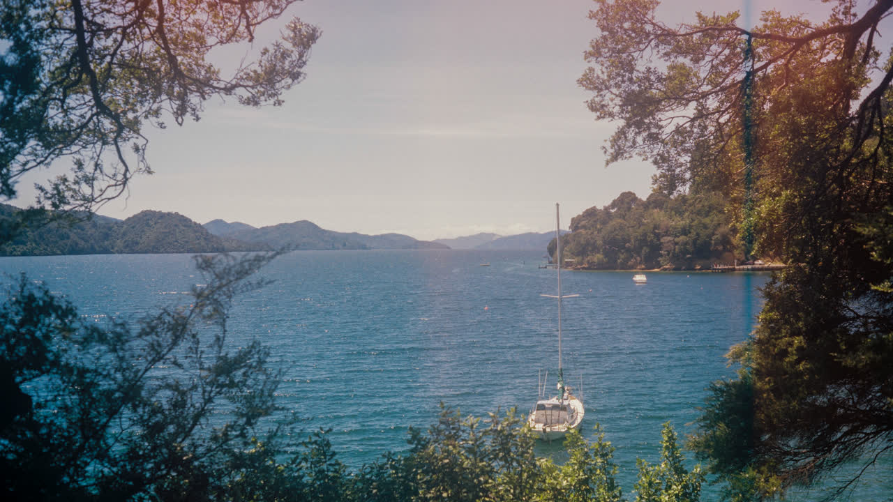 Nature photograph