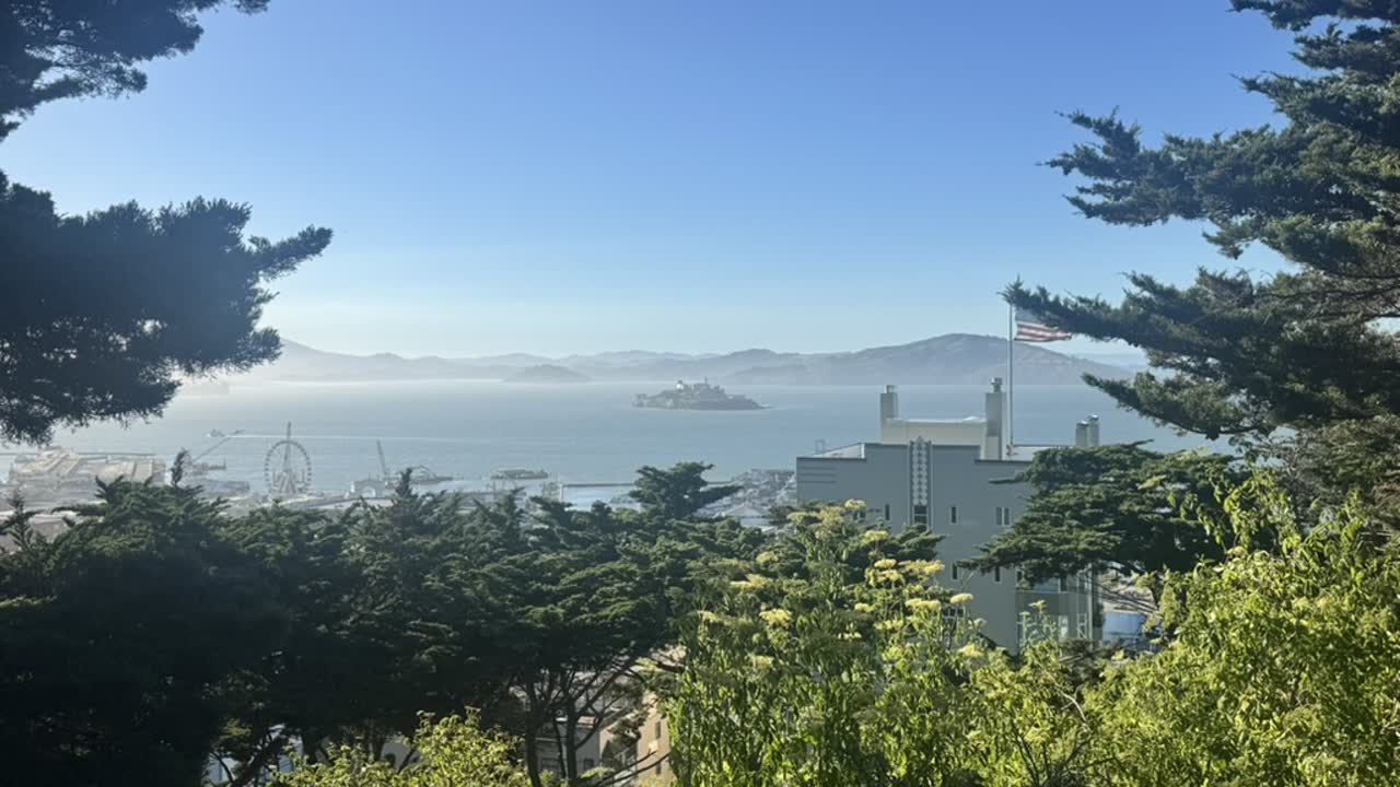 Alcatraz framed by trees across the bay